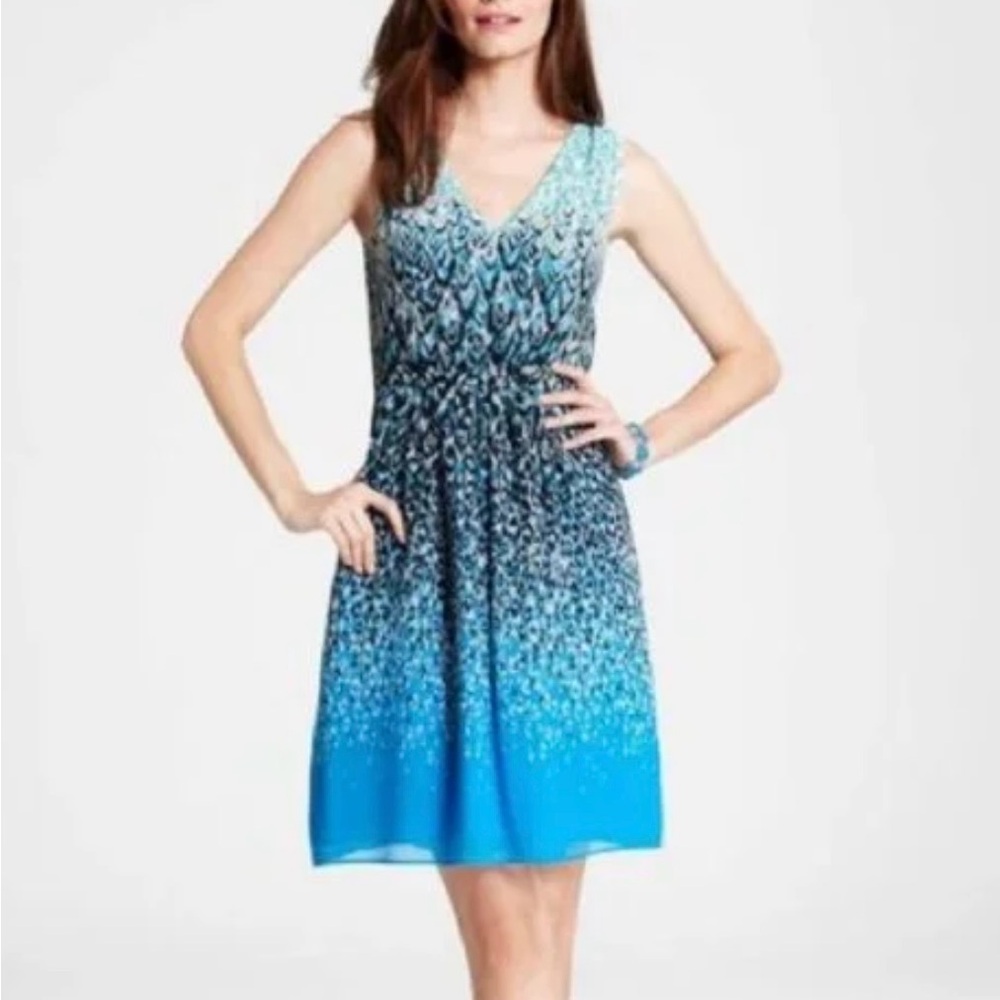 NWOT Ann Taylor Blue and Black Sleeveless Dress - Sz 10P